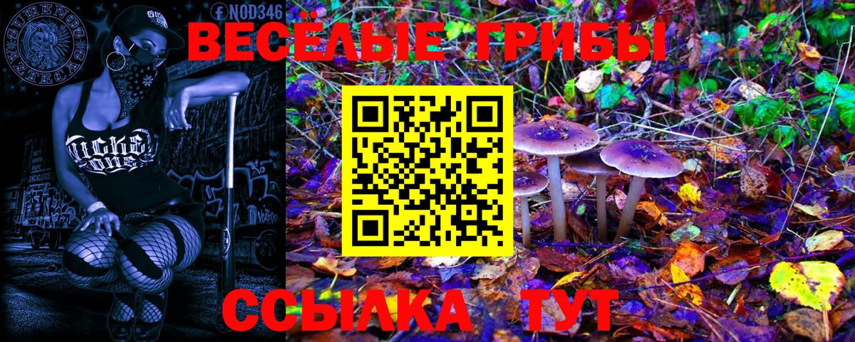 Галлюциногенные грибы ЛСД  Вход с VPN  Югорск 