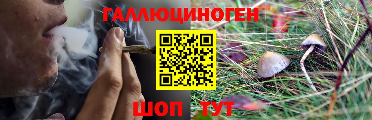 Псилоцибиновые грибы ЛСД Югорск